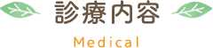 診療内容 medical